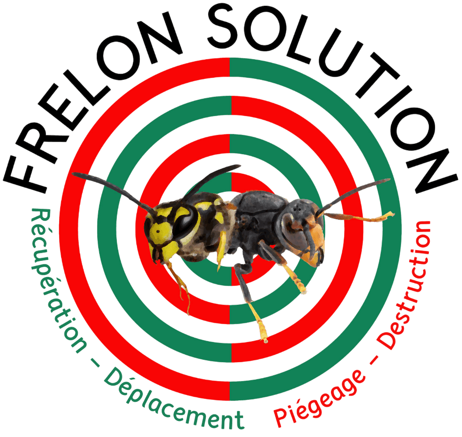 frelon solution le mans.png